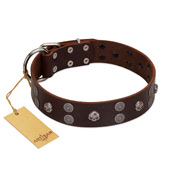 "Skull Valley" Handcrafted FDT Artisan Brown Leather Swiss Mountain Dog Collar with Skulls