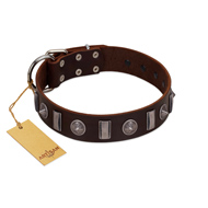 "Spiky Way" FDT Artisan Brown Leather Swiss Mountain Dog Collar with Silver-Like Decorations