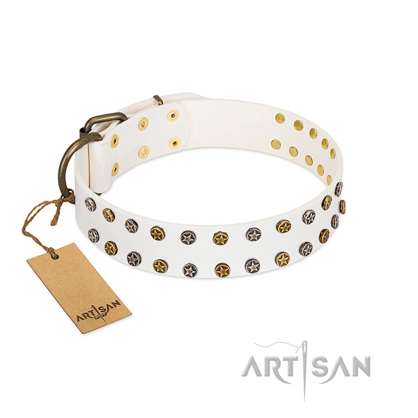 Significant full grain leather dog collar with corrosion resistant adornments