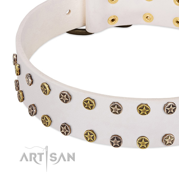 Stylish design decorations on genuine leather collar for your canine