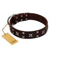 "Bigwig Woof" FDT Artisan Brown Leather Swiss Mountain Dog Collar with Chrome Plated Stars and Square Studs