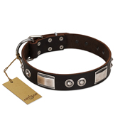 "Baller Status" FDT Artisan Brown Leather Swiss Mountain Dog Collar Adorned with a Set of Chrome Plated Studs and Plates