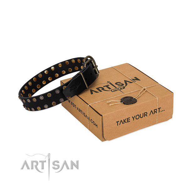 Unique full grain genuine leather dog collar with rust resistant adornments