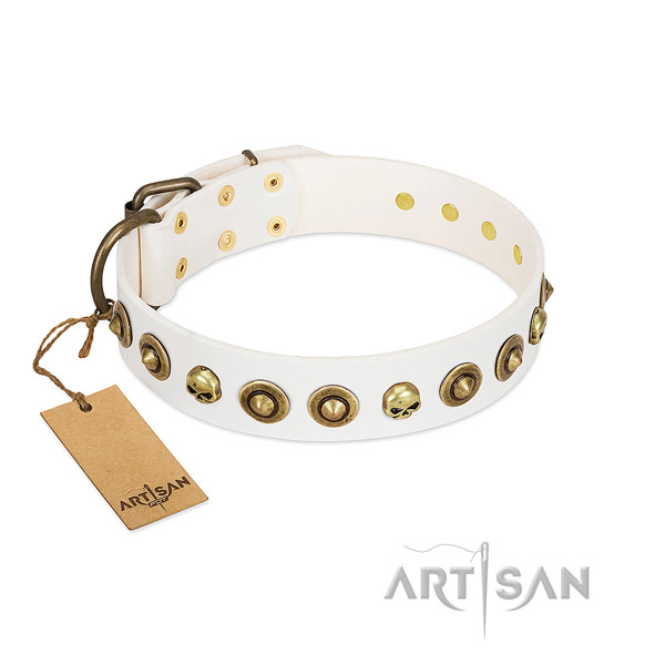 Full grain leather collar with top notch studs for your doggie