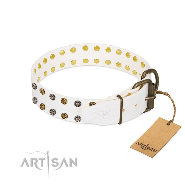 Top notch natural leather dog collar with durable studs