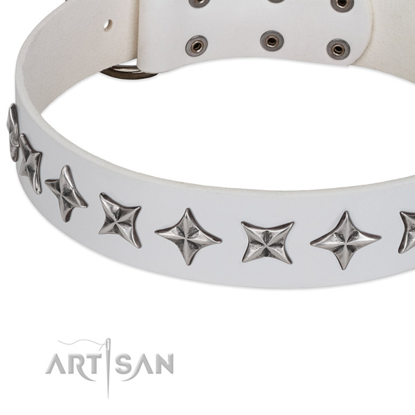 Daily use decorated dog collar of top quality genuine leather