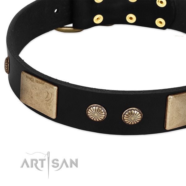 Full grain genuine leather dog collar with adornments for stylish walking