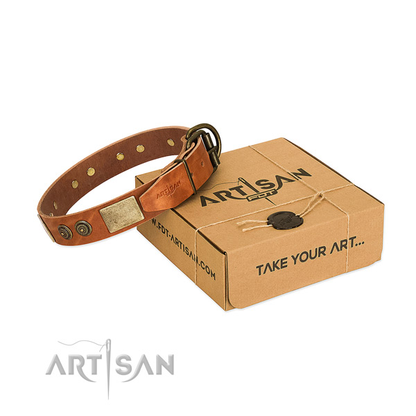 Strong fittings on genuine leather dog collar for walking