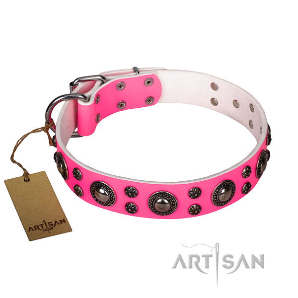 Daily use dog collar of high quality full grain genuine leather with decorations