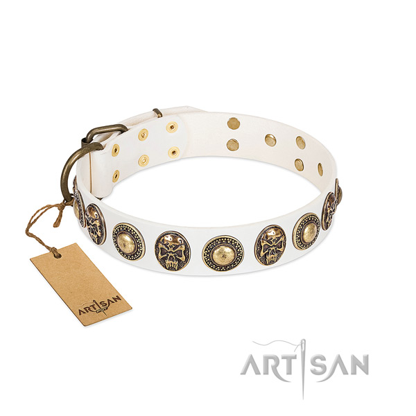 Easy to adjust genuine leather dog collar for stylish walking your canine