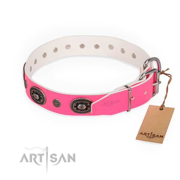 Everyday walking embellished dog collar with rust-proof fittings