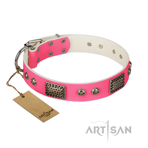 Easy wearing leather dog collar for walking your four-legged friend