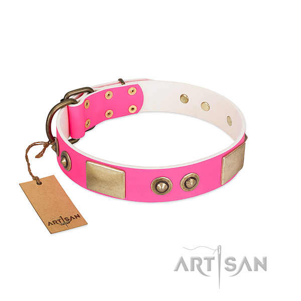 Reliable D-ring on genuine leather dog collar for your canine