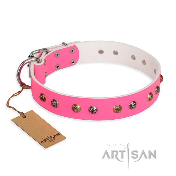 Everyday use comfortable dog collar with rust-proof fittings