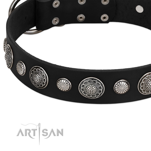 Full grain genuine leather collar with strong hardware for your attractive canine