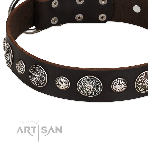 Full grain leather collar with strong hardware for your handsome canine