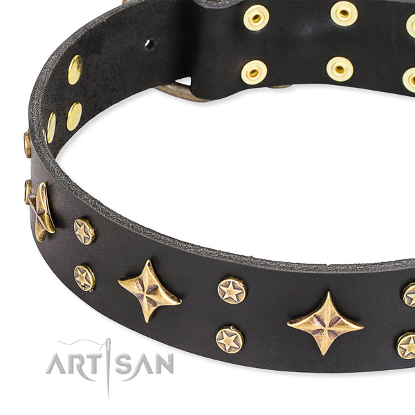 Everyday walking adorned dog collar of quality full grain natural leather
