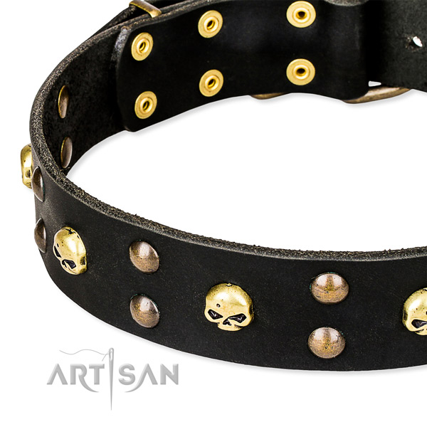 Basic training studded dog collar of top notch full grain leather