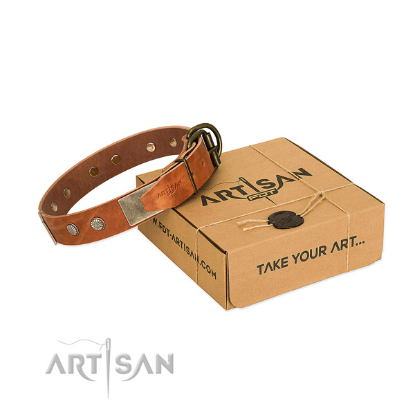 Corrosion resistant buckle on dog collar for comfortable wearing