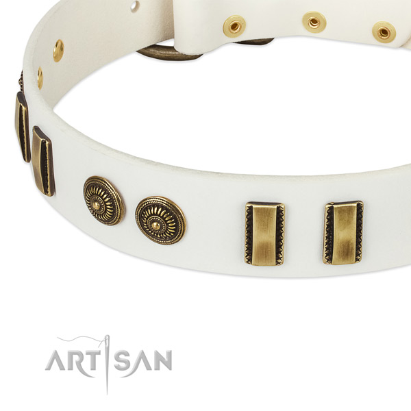 Reliable studs on full grain genuine leather dog collar for your canine