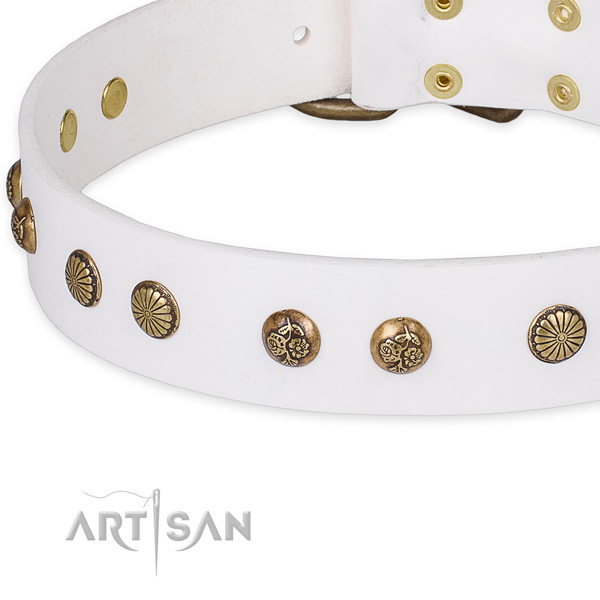 Full grain natural leather collar with reliable buckle for your impressive doggie
