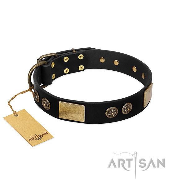 Rust-proof traditional buckle on genuine leather dog collar for your canine