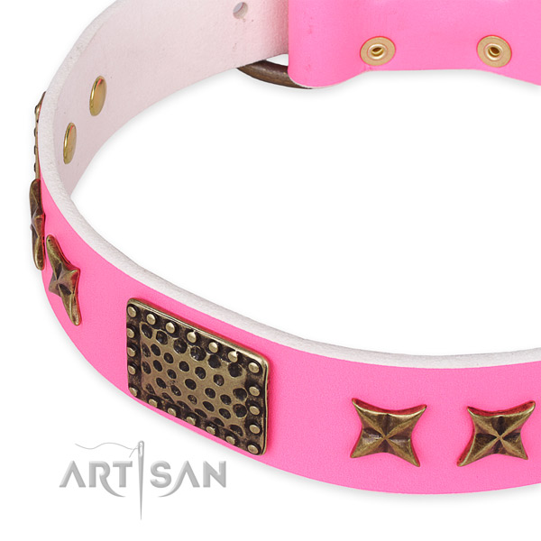 Full grain leather collar with durable buckle for your beautiful doggie
