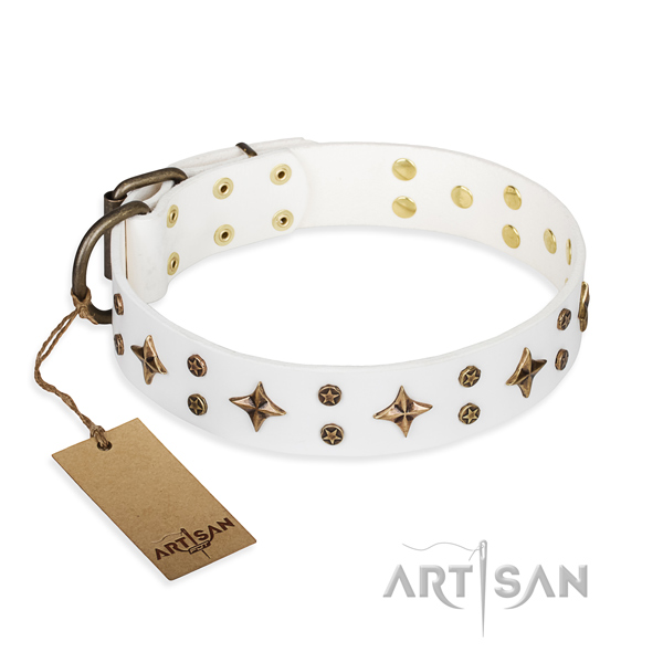 Daily use dog collar of high quality full grain natural leather with embellishments