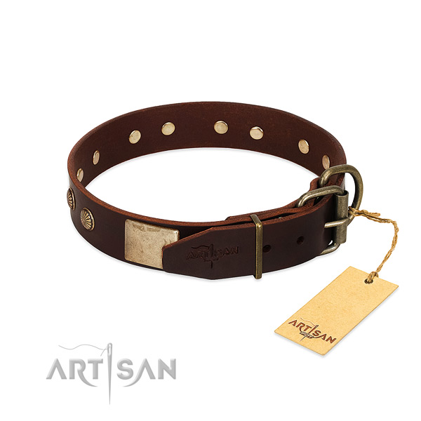 Rust-proof D-ring on basic training dog collar