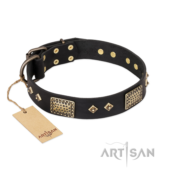 Trendy genuine leather dog collar for fancy walking