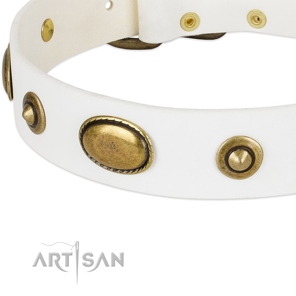 Reliable traditional buckle on leather dog collar for your doggie