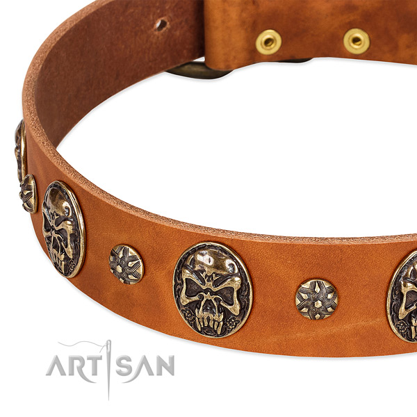 Corrosion resistant fittings on full grain natural leather dog collar for your doggie