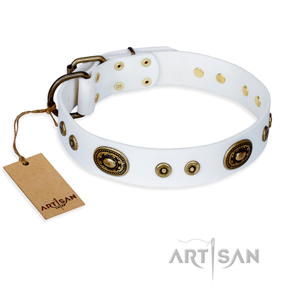 Full grain leather dog collar made of gentle to touch material with strong fittings