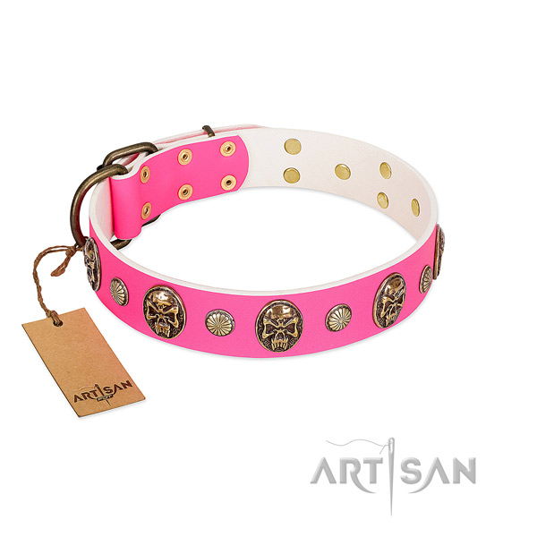 Corrosion proof studs on full grain genuine leather dog collar for your canine