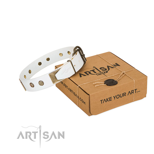 Rust-proof adornments on dog collar for everyday walking