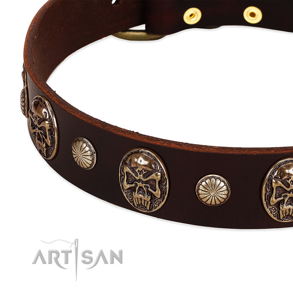 Full grain leather dog collar with decorations for stylish walking