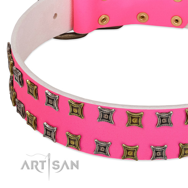 Natural leather dog collar with stylish studs