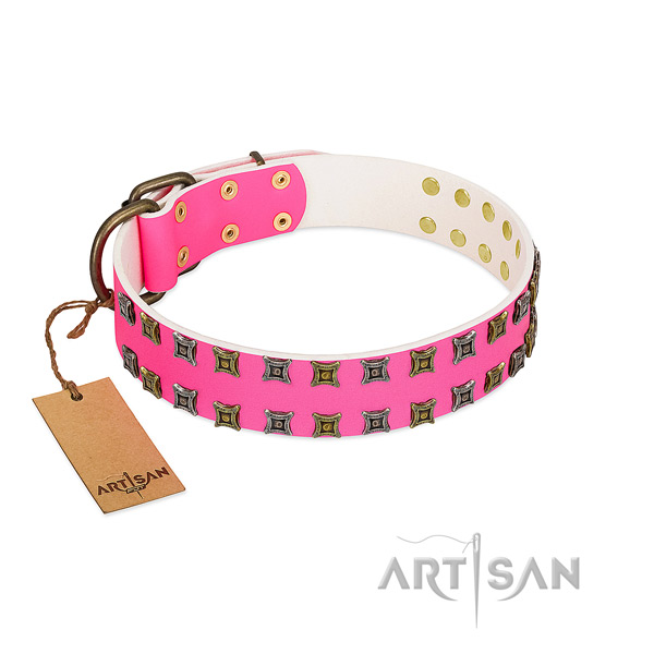 Natural leather collar with exquisite studs for your canine