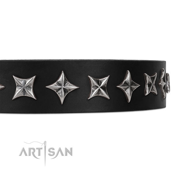 Everyday use embellished dog collar of top quality full grain leather
