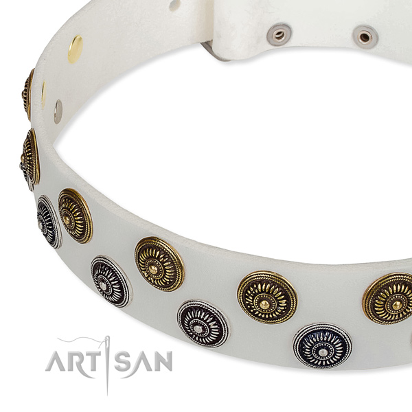 Walking embellished dog collar of reliable full grain genuine leather