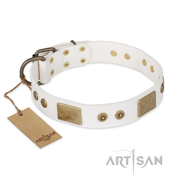 Fashionable leather dog collar for daily use