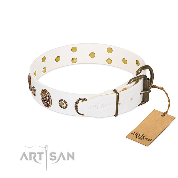Durable traditional buckle on full grain genuine leather collar for fancy walking your canine