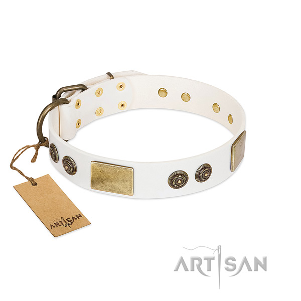 Adorned leather dog collar for stylish walking