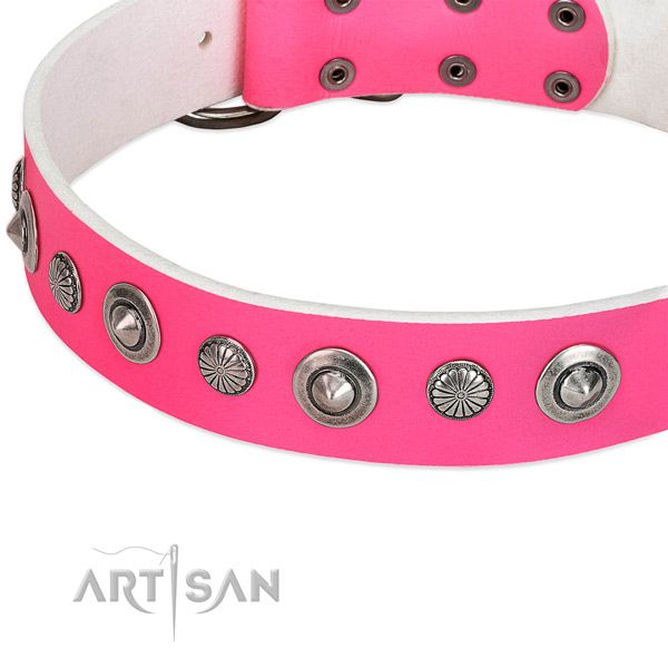 Genuine leather collar with strong fittings for your beautiful dog