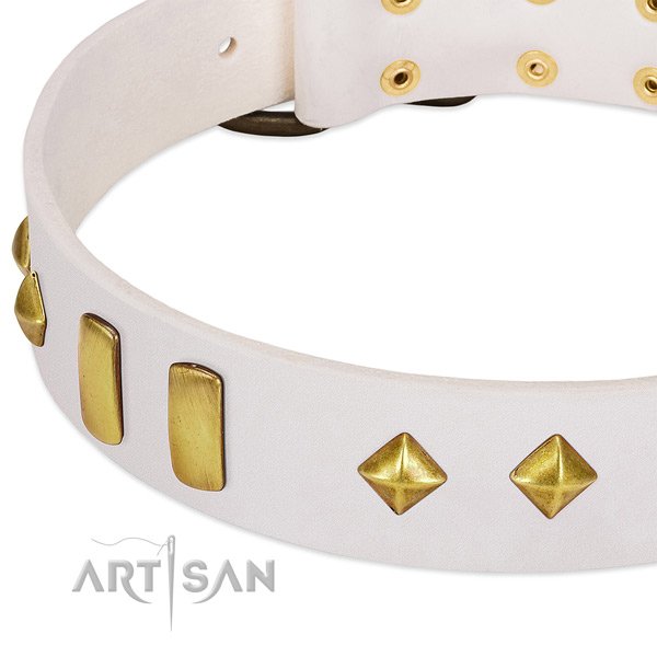Flexible full grain natural leather dog collar with strong traditional buckle
