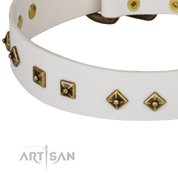 Impressive leather collar for your handsome dog