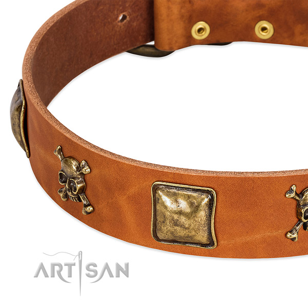Extraordinary full grain genuine leather dog collar with strong studs