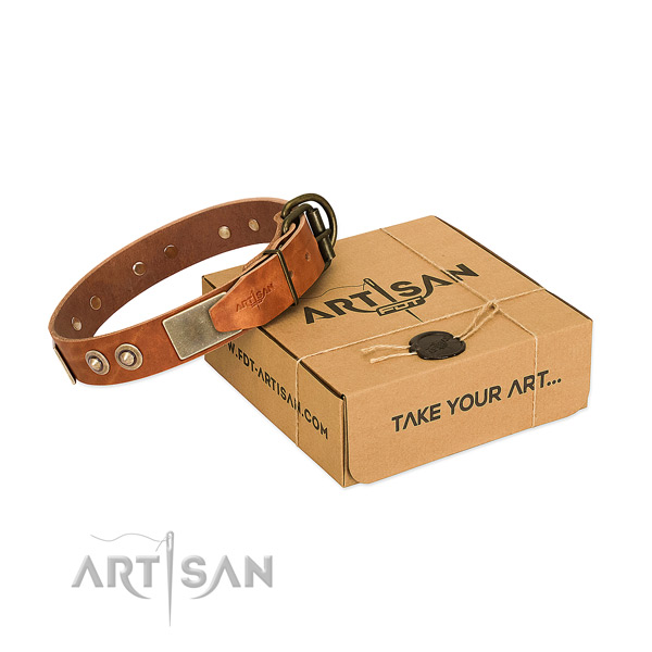 Rust-proof studs on dog collar for everyday use