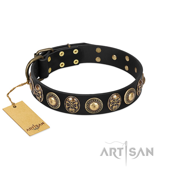 Easy to adjust full grain leather dog collar for daily walking your canine