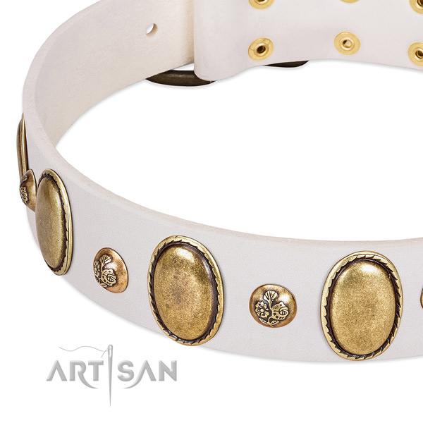 Leather dog collar with significant studs